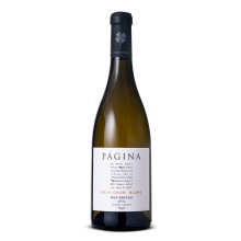 Página Vino Blanco Sauvignon Blanc 2020