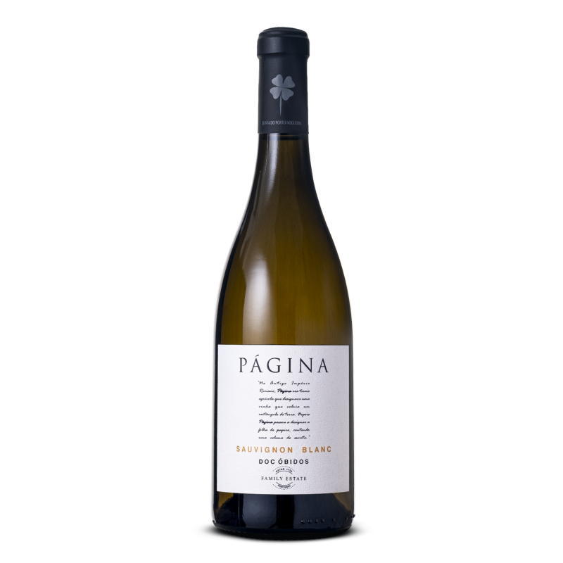 Página Vino Blanco Sauvignon Blanc 2020