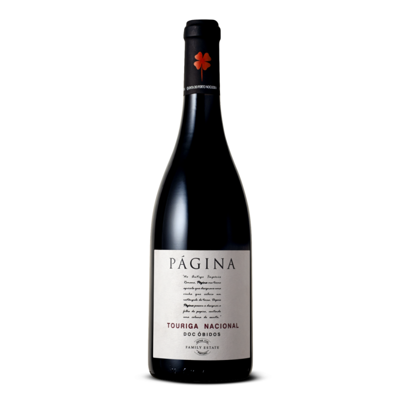 Pagina Touriga Nacional 2020 Rotwein Flasche Pagina Touriga Nacional 2020 Rotwein Flasche