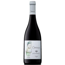 Pormenor Canuco 2019Vino rosso