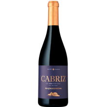 Cabriz Edição Especial 2015 Red Wine Bottle