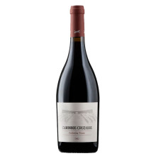 Caminhos Cruzados 2018 Rotwein