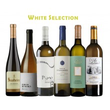 White Selection - Summer 2023