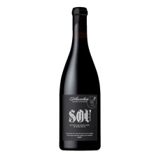 Bottle of Sou Alvarelhão 2020 Red Wine