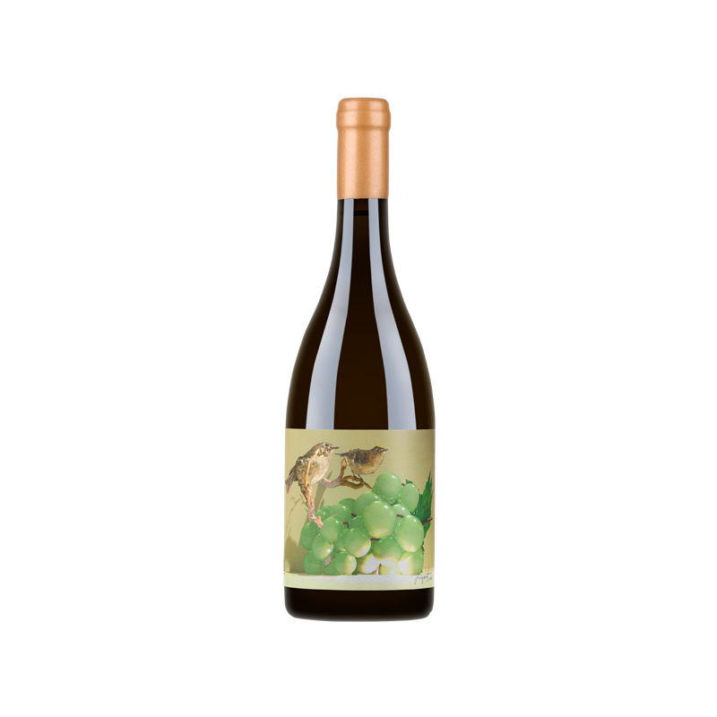 Koop Soalheiro Alvorone Witte Wijn Koop Soalheiro Alvorone Witte Wijn