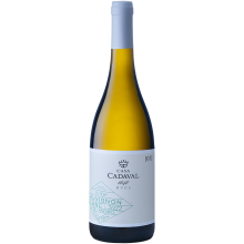 Køb Casa Cadaval Sauvignon Blanc hvidvin