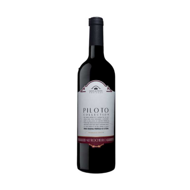 Koop Quinta do Piloto Verzameling Alfrocheiro Koop Quinta do Piloto Verzameling Alfrocheiro