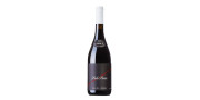Pala Pinta 2020 Vinho Tinto