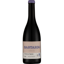 Ribeiro Santo Bastardo 2020 Red Wine Bottle Ribeiro Santo Bastardo 2020 Red Wine Bottle
