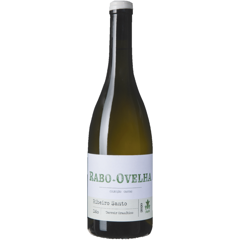 Ribeiro Santo Rabo de Ovelha hvidvin Ribeiro Santo Rabo de Ovelha hvidvin