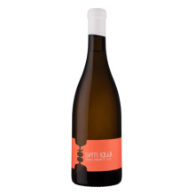 Sem Igual Orange 2021 White Wine with citrus aromas Sem Igual Orange 2021 White Wine with citrus aromas