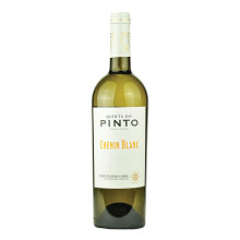 Quinta do Pinto Chenin Blanc 2022 White Wine Quinta do Pinto Chenin Blanc 2022 White Wine