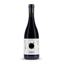 Mainada Castelão 2020 Vin rouge