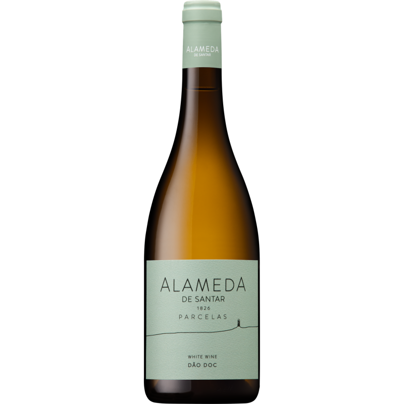Vin Alb Alameda de Santar Parcelas 2021 Vin Alb Alameda de Santar Parcelas 2021