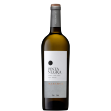 Pinta Negra Reserva 2023 White Wine - Aromatic & Fresh