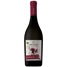 Adega Mãe Orgánico Regenerativo 2022 Vino Tinto