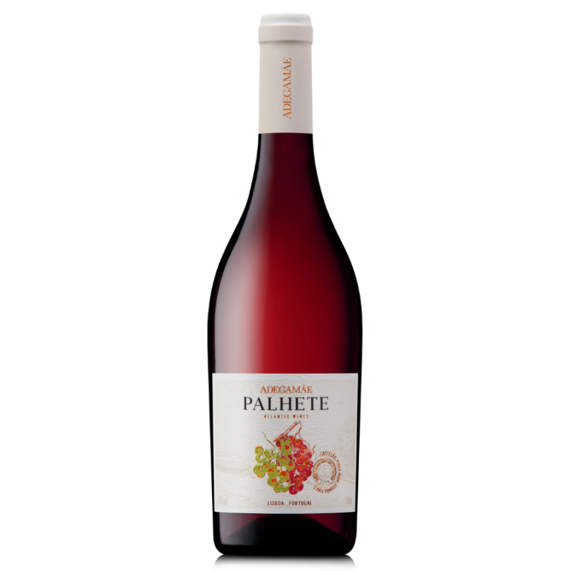 Adega Mãe Palhete 2023 Vino rosso Adega Mãe Palhete 2023 Vino rosso