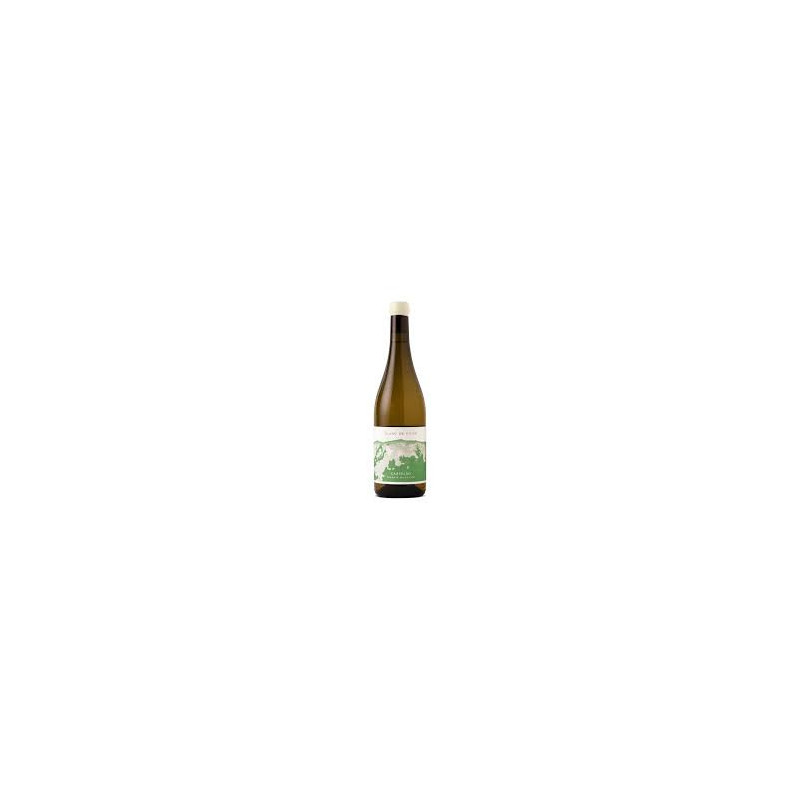 Tojo Blanc de Noir Castelão 2023 Vin blanc Tojo Blanc de Noir Castelão 2023 Vin blanc