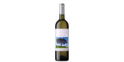 Sousa Lopes 2023 Vin Blanc avec arômes tropicaux