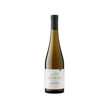Genese Terroir Montanha branco