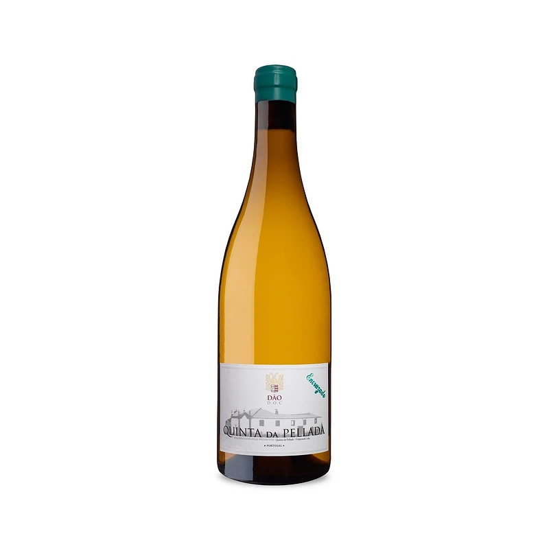 Quinta da Pellada Vino blanco encruzado Quinta da Pellada Vino blanco encruzado
