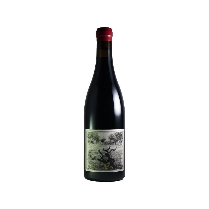 Quinta da Pellada Muleta 2020 Red Wine