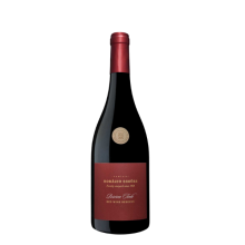 Horácio Simões Reserva Punaviini