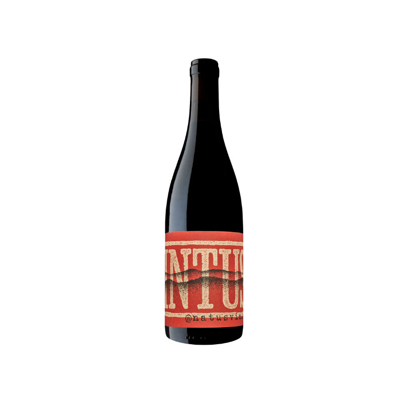 Intus 2022 Vin Roșu - Arome de Fructe Roșii