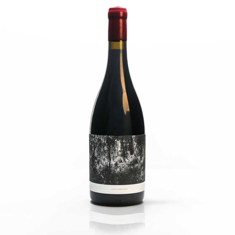 Anunciada Velha Vin Roșu 2021