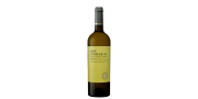 Piccolo Odisseia 2024: vino bianco fresco ed equilibrato