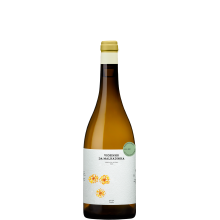 Viosinho da Malhadinha - Vinha do Olival 2021