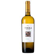 Terra D'Alter Reserva 2015 Witte Wijn