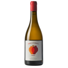 Vino Blanco A Meias Verdelho en Ânfora 2023