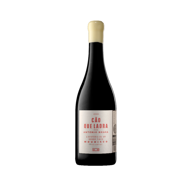 Cão que Ladra 2023 Vino Rosso, eleganza in ogni sorso Cão que Ladra 2023 Vino Rosso, eleganza in ogni sorso