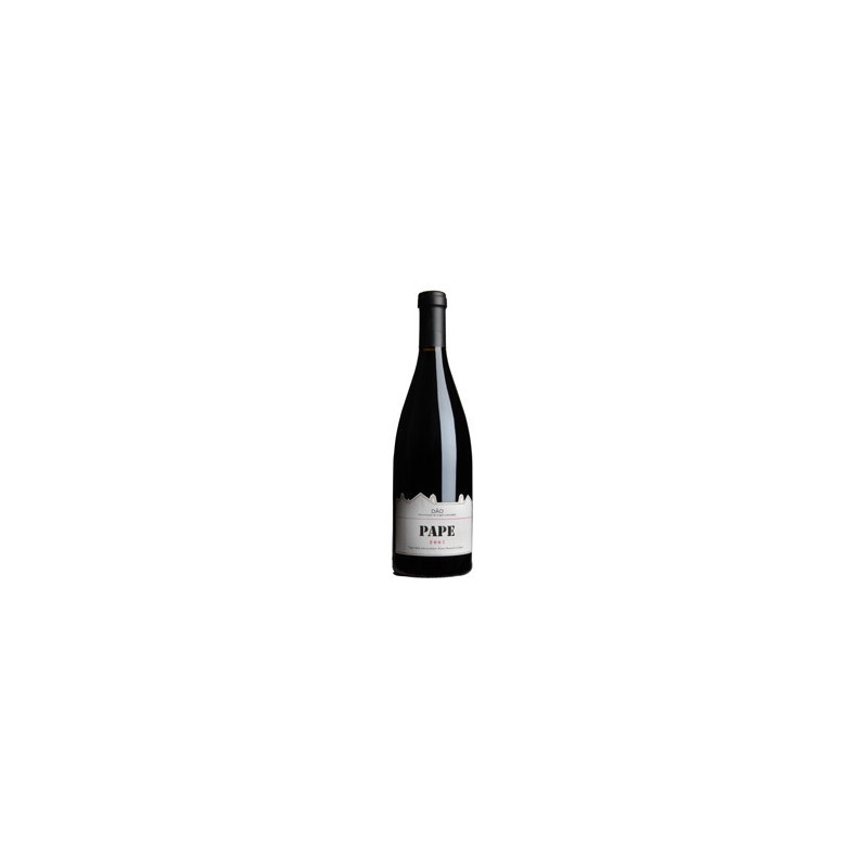 Červené víno Pape 2005