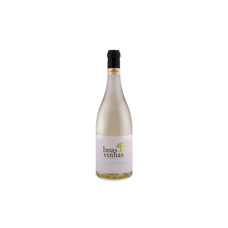 Boas Vinhas 2011 valkoviini