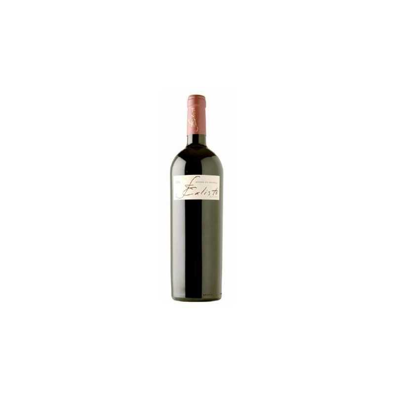 Joaquim Calisto Reserva 2004 punaviini