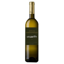Monte do Carrapatelo 2009 Weißwein