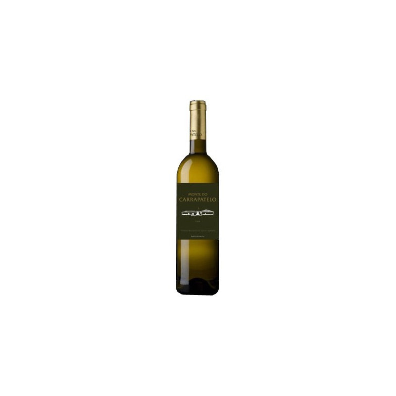 Monte do Carrapatelo 2009 White Wine Monte do Carrapatelo 2009 White Wine