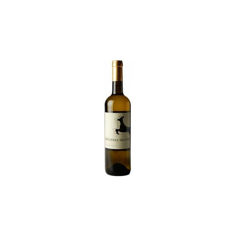 Encostas do Tua 2013 Vino Bianco