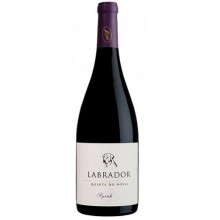 Labrador Syrah 2013 Red Wine