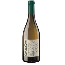 Quanta Terra Grande Reserva Hvidvin