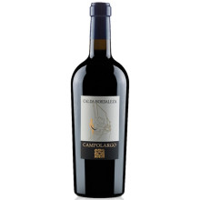 Calda Bordalesa 2009 punaviini