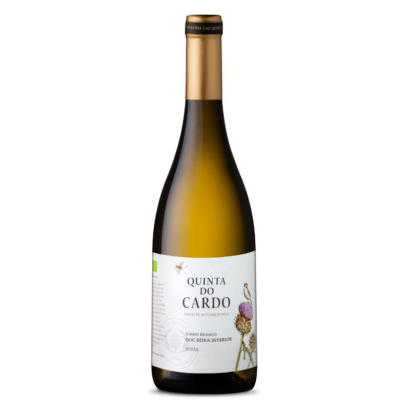Quinta do Cardo Síria 2016 valkoviini Quinta do Cardo Síria 2016 valkoviini