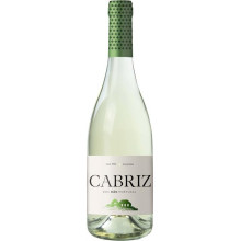 Cabriz Colheita Seleccionada Witte Wijn