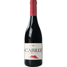 Cabriz Colheita Selecionada Red Wine