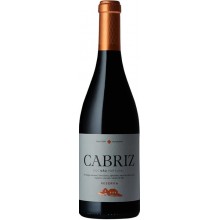 Cabriz Reserva 2014 vörösbor