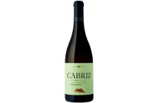 Cabriz Reserva 2017 White Wine