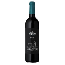 Quinta Vale d'Aldeia Vin rouge 2013