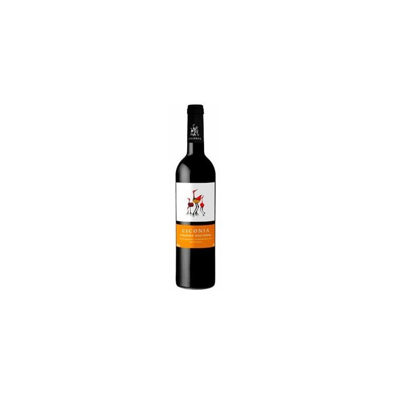 Ciconia 2016 Vino Rosso